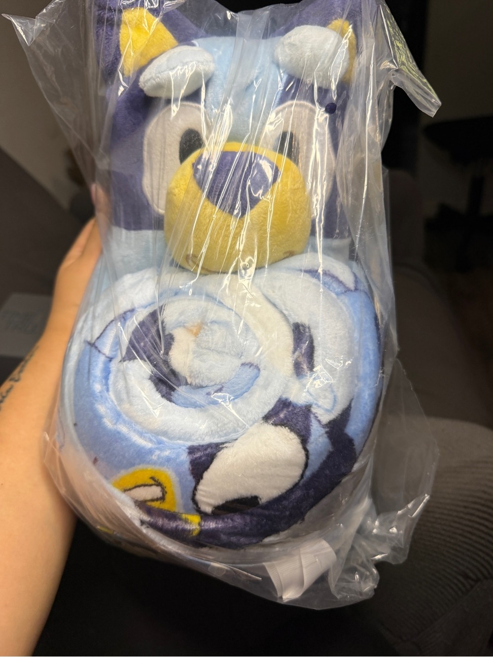 Bluey Plush Blanket Set New